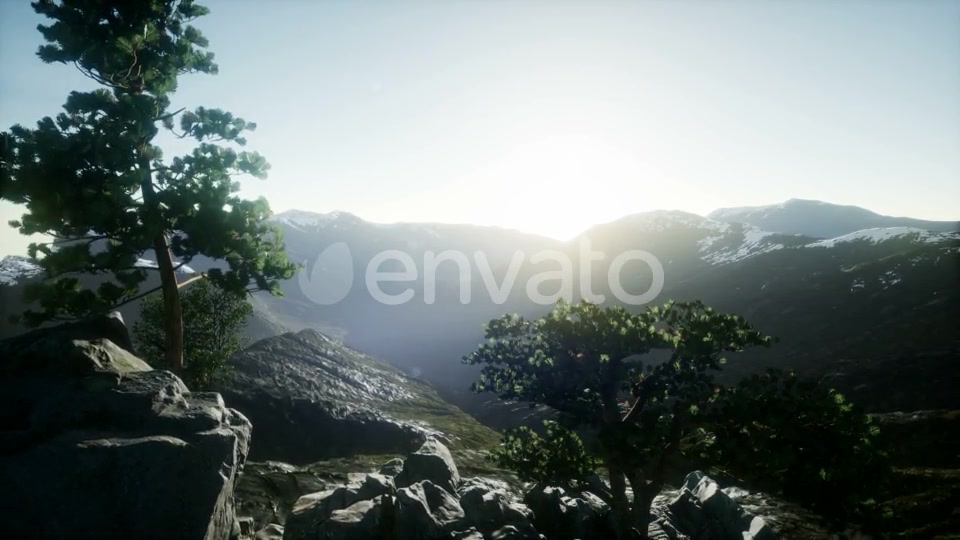 Sun Beams Through Trees - Download Videohive 21843579