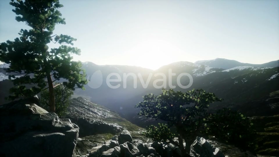 Sun Beams Through Trees - Download Videohive 21843579