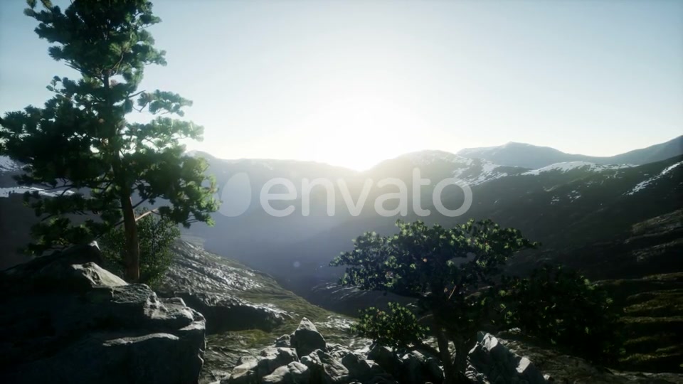 Sun Beams Through Trees - Download Videohive 21843579