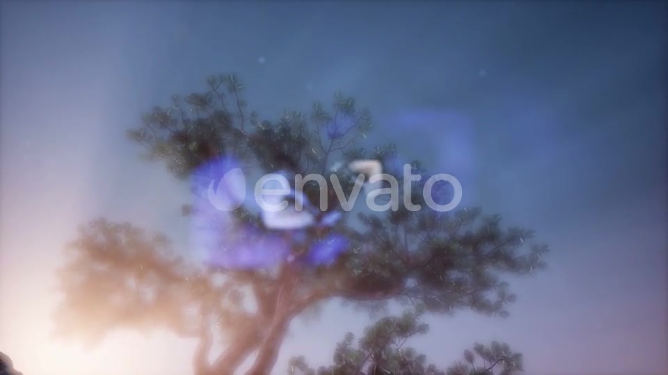 Sun Beams Through Trees - Download Videohive 21843676