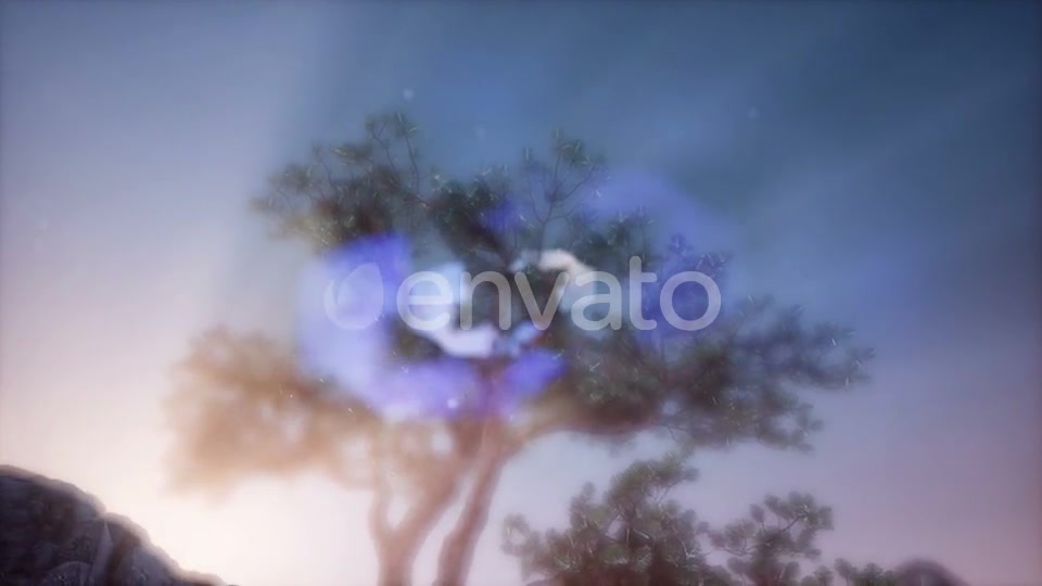 Sun Beams Through Trees - Download Videohive 21843676