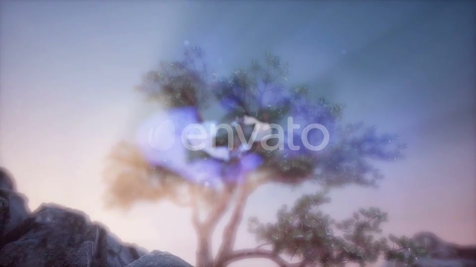 Sun Beams Through Trees - Download Videohive 21843676