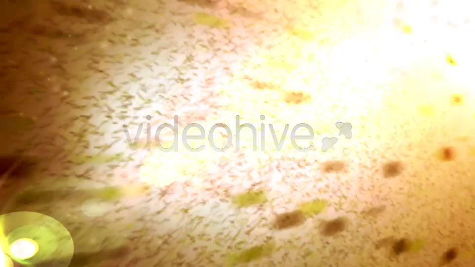 Sun Light Reveal - Download Videohive 3782050