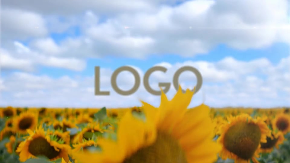 Sunflower Opener Videohive 33348696 After Effects Image 4