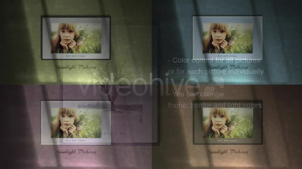 Sunlight Pictures - Download Videohive 3931334