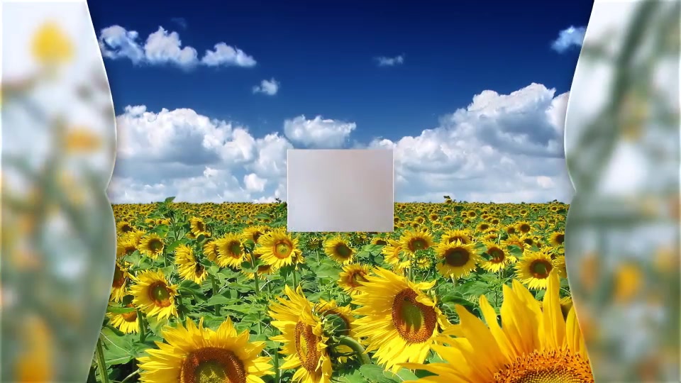 Sunny Day Titles - Download Videohive 13341312
