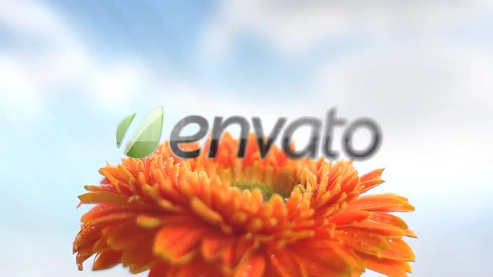 Sunny Flowers - Download Videohive 1572942