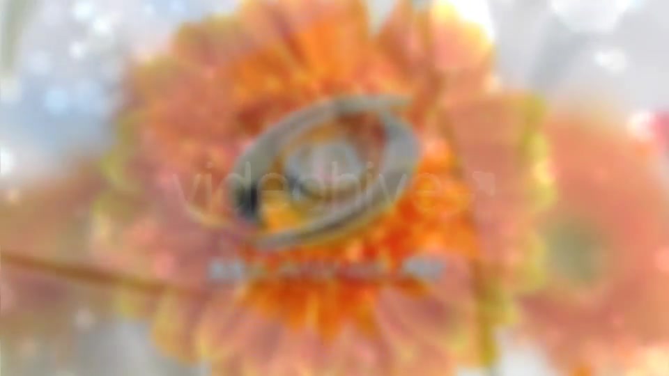 Sunny Flowers - Download Videohive 1572942