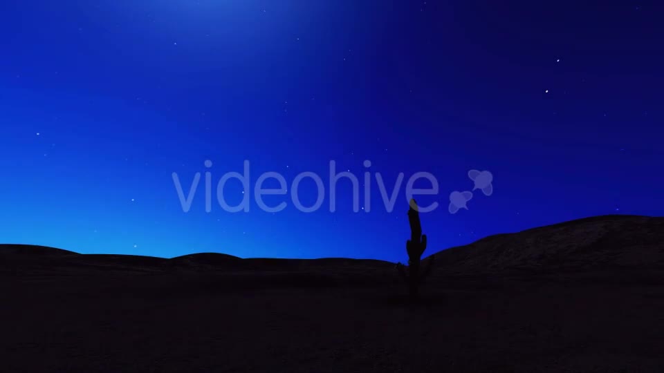 Sunrise Desert Cactus - Download Videohive 20441641