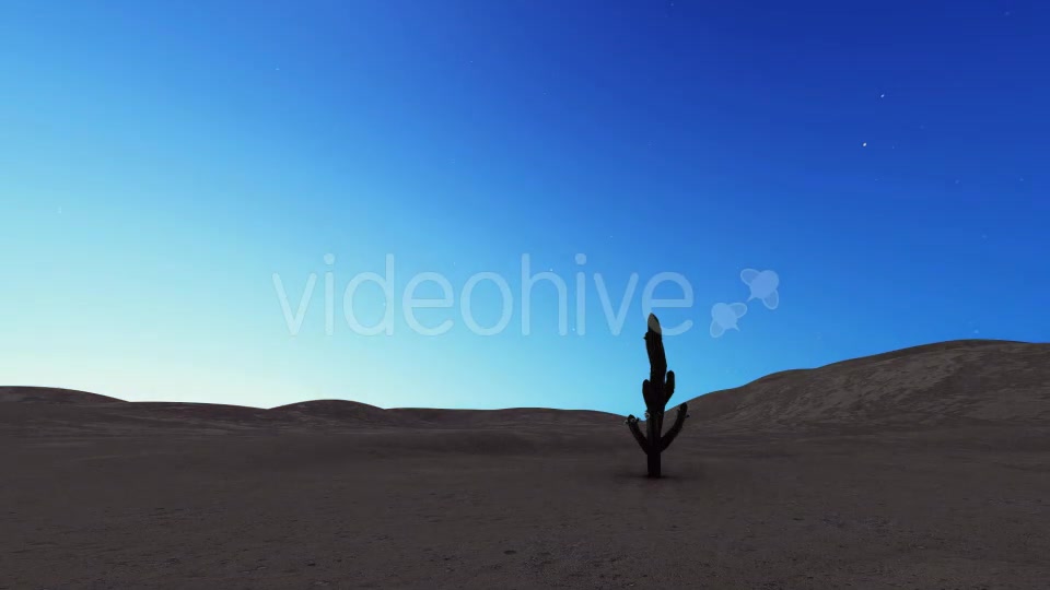 Sunrise Desert Cactus - Download Videohive 20441641