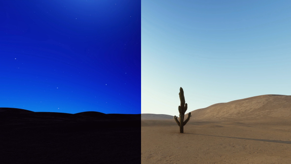 Sunrise Desert Cactus - Download Videohive 20441641