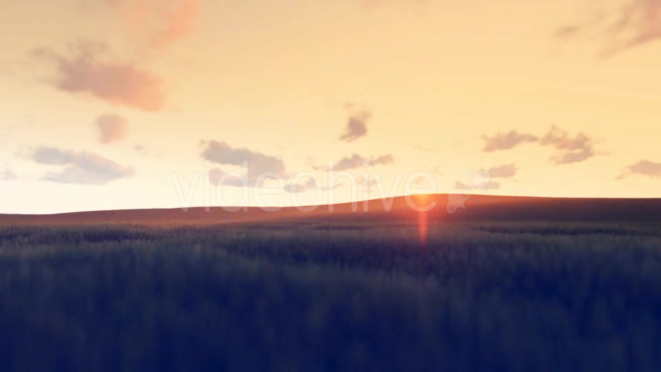 Sunrise Nature - Download Videohive 16896850