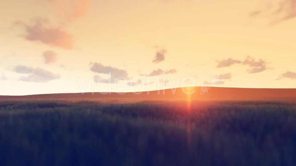 Sunrise Nature - Download Videohive 16896850