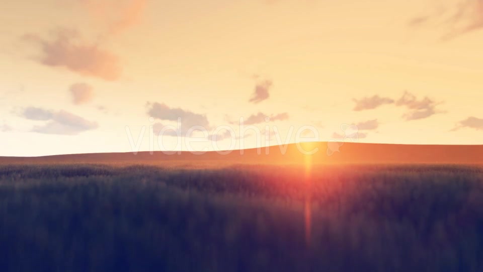 Sunrise Nature - Download Videohive 16896850