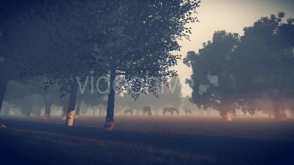 Sunrise Nature Horses - Download Videohive 18312646