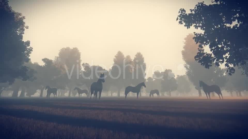 Sunrise Nature Horses - Download Videohive 18312646