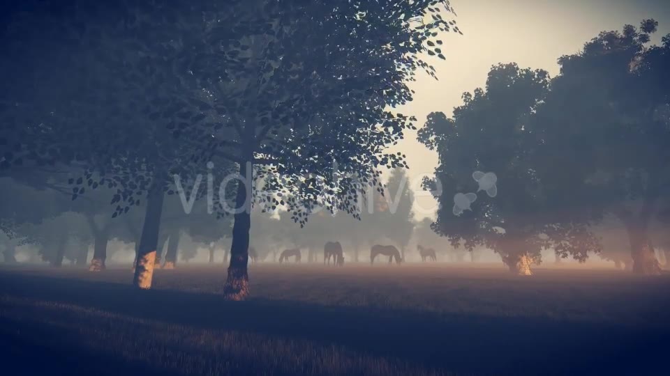 Sunrise Nature Horses - Download Videohive 18312646
