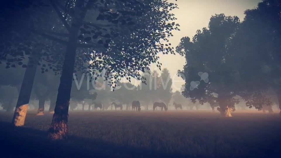 Sunrise Nature Horses - Download Videohive 18312646