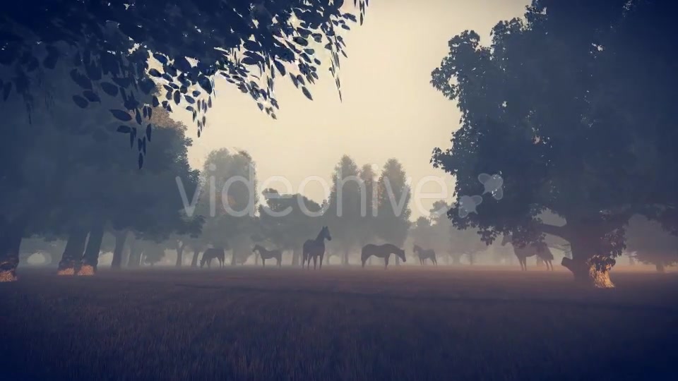 Sunrise Nature Horses - Download Videohive 18312646