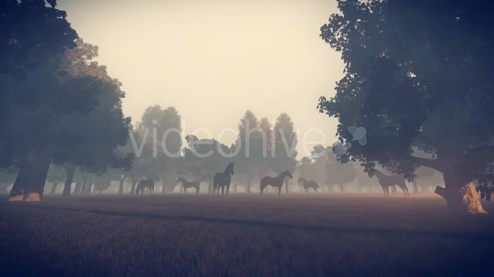 Sunrise Nature Horses - Download Videohive 18312646