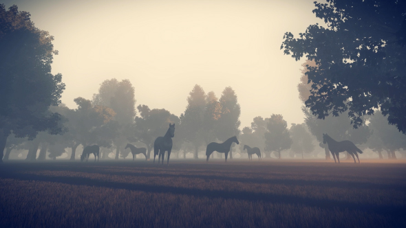 Sunrise Nature Horses - Download Videohive 18312646