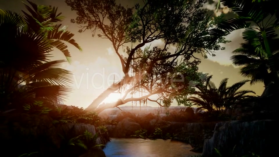 Sunset Beams Through Palm Trees - Download Videohive 20568186