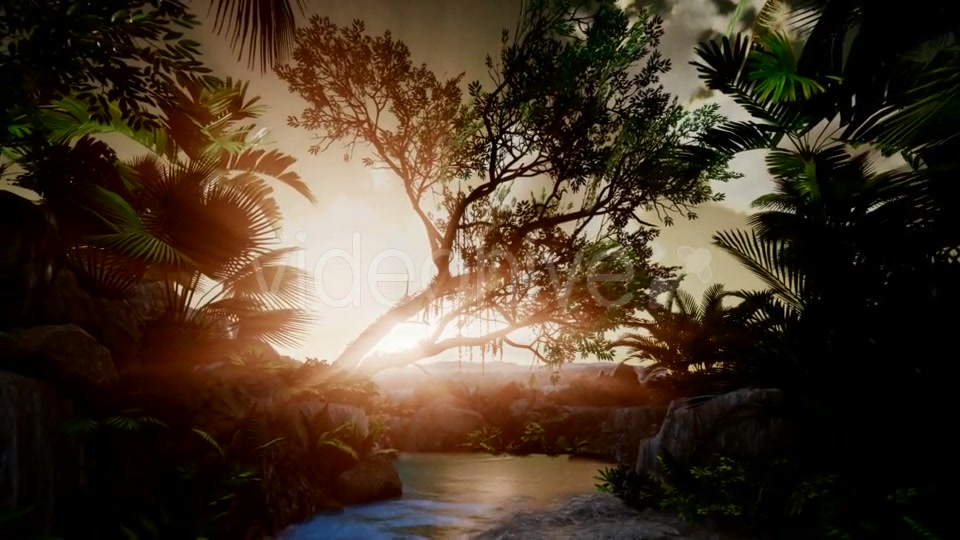 Sunset Beams Through Palm Trees - Download Videohive 20568186