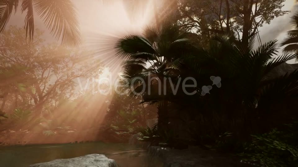 Sunset Beams Through Palm Trees - Download Videohive 20568203