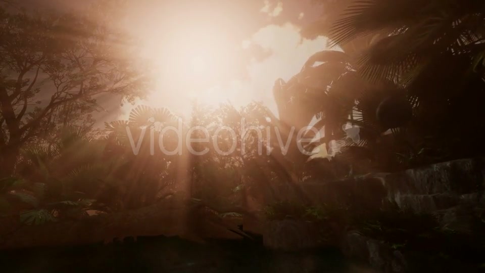Sunset Beams Through Palm Trees - Download Videohive 20568203
