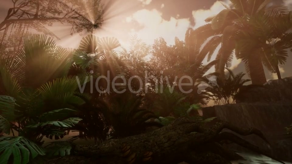 Sunset Beams Through Palm Trees - Download Videohive 20568203