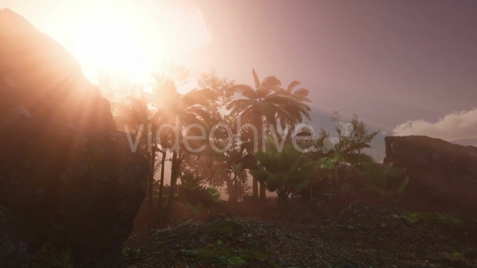 Sunset Beams Through Palm Trees - Download Videohive 20626067