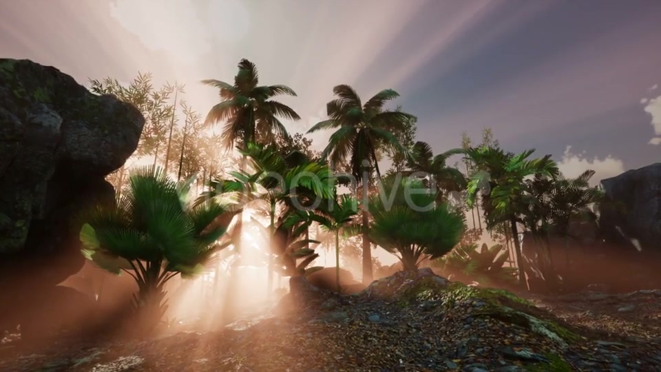 Sunset Beams Through Palm Trees - Download Videohive 20626090