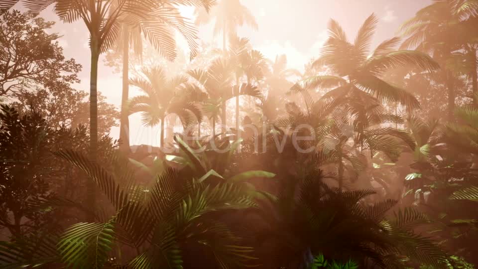 Sunset Beams Through Palm Trees - Download Videohive 20736058