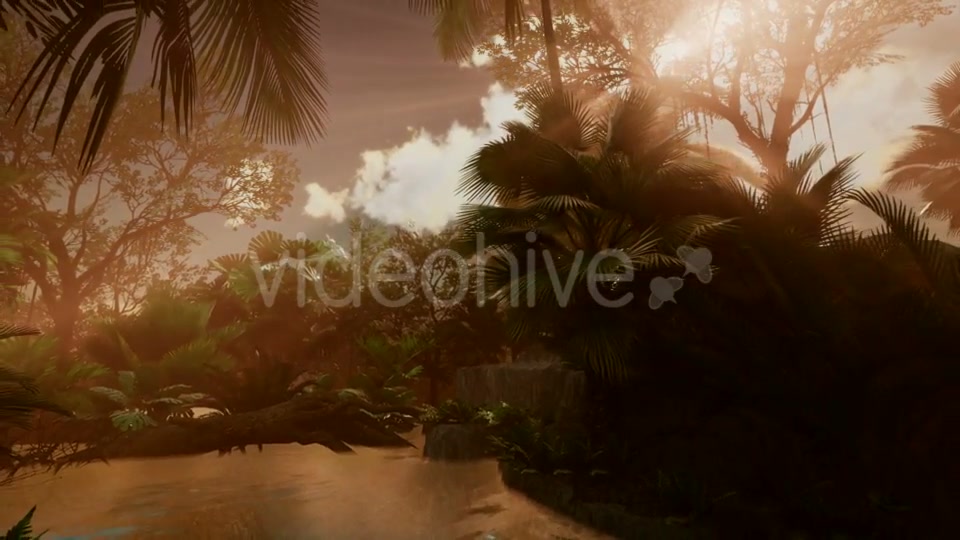 Sunset Beams Through Palm Trees - Download Videohive 20777021