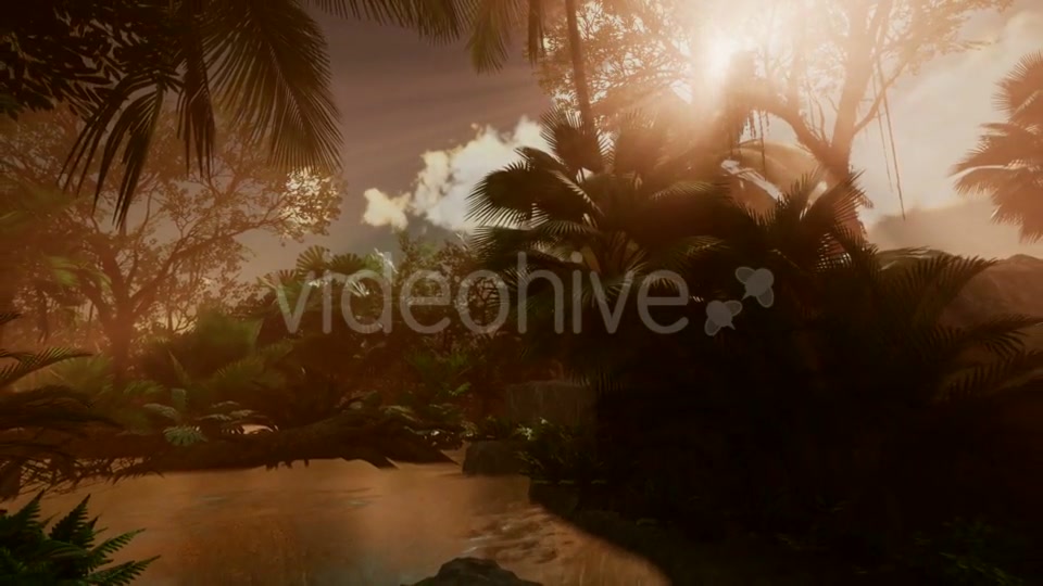 Sunset Beams Through Palm Trees - Download Videohive 20777021