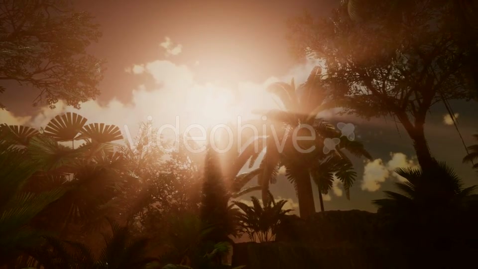 Sunset Beams Through Palm Trees - Download Videohive 20777021