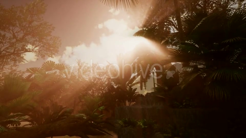 Sunset Beams Through Palm Trees - Download Videohive 20777021