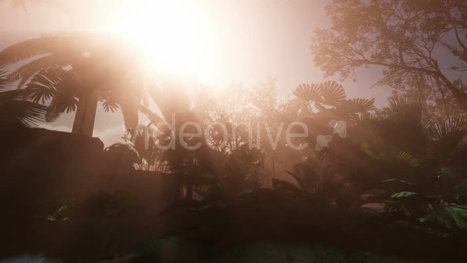 Sunset Beams Through Palm Trees - Download Videohive 20859298