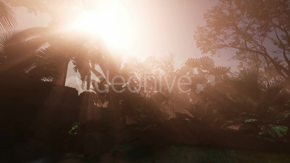 Sunset Beams Through Palm Trees - Download Videohive 20859298