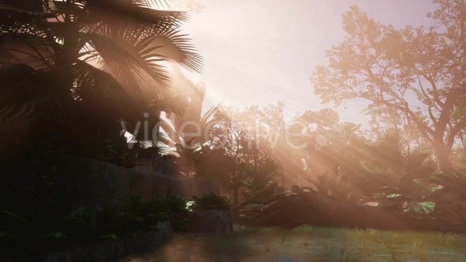 Sunset Beams Through Palm Trees - Download Videohive 20859298