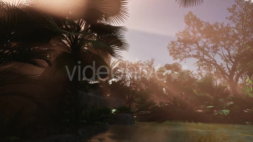 Sunset Beams Through Palm Trees - Download Videohive 20859298