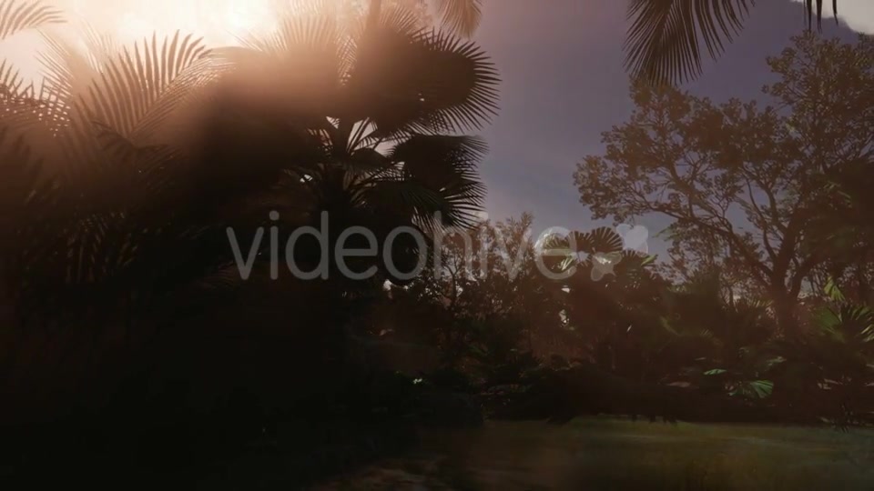 Sunset Beams Through Palm Trees - Download Videohive 20859298