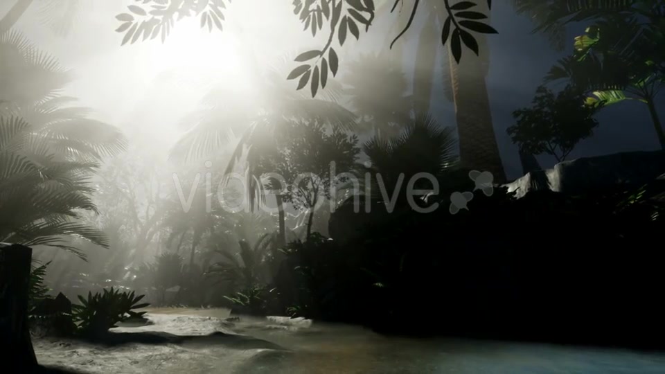 Sunset Beams Through Palm Trees - Download Videohive 20859384