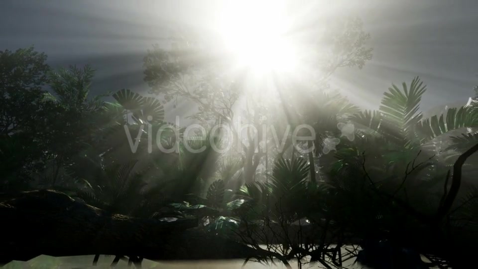 Sunset Beams Through Palm Trees - Download Videohive 20859384