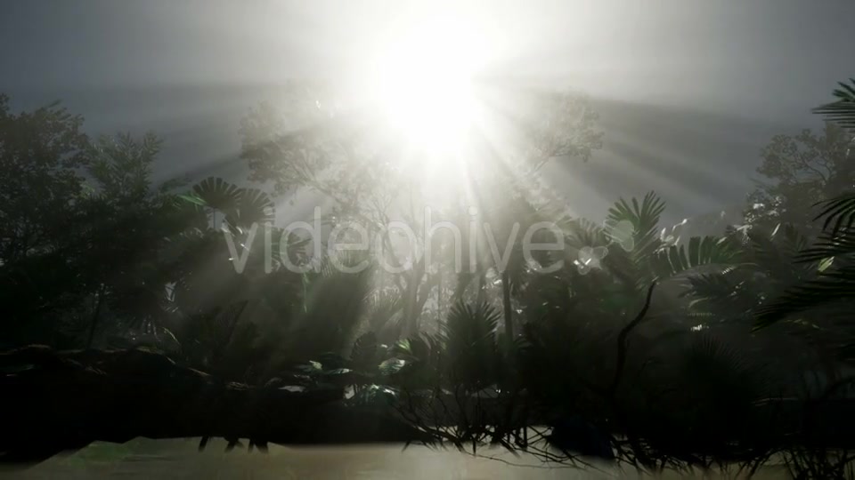 Sunset Beams Through Palm Trees - Download Videohive 20859384