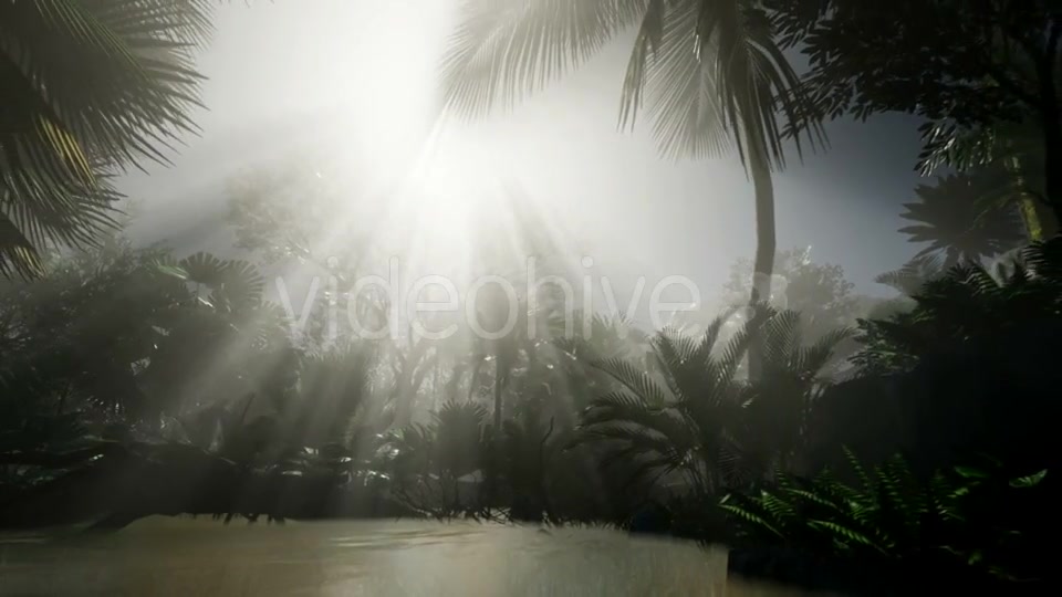 Sunset Beams Through Palm Trees - Download Videohive 20859384