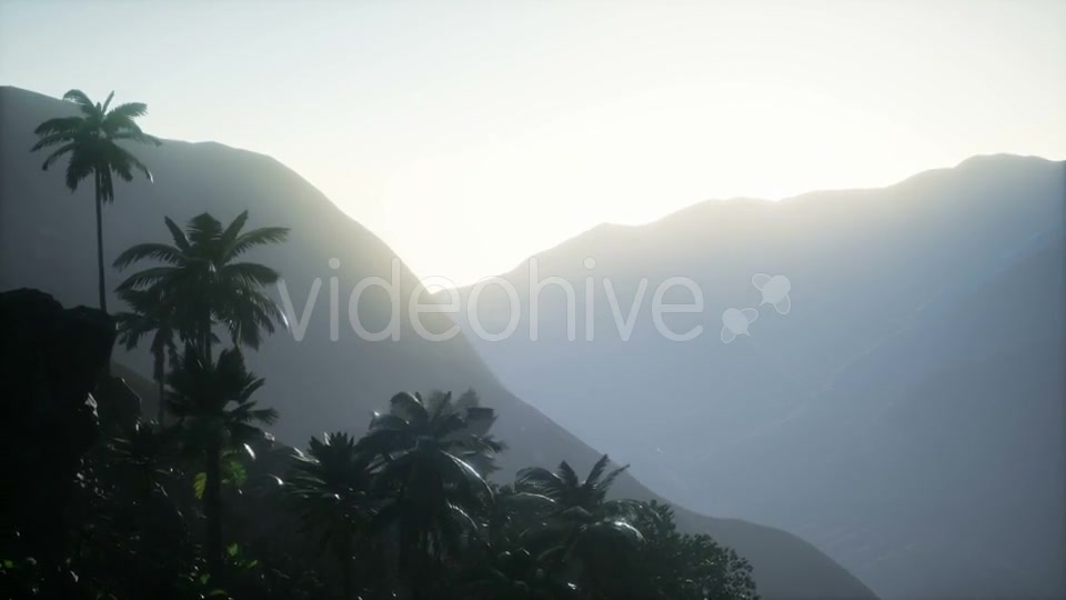 Sunset Beams Through Palm Trees - Download Videohive 21041331