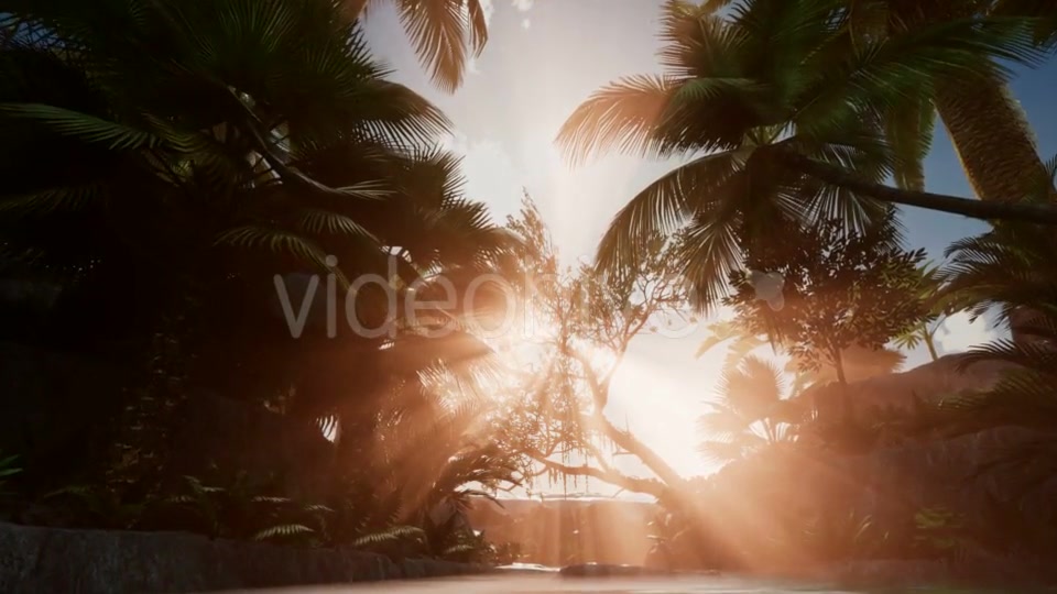 Sunset Beams Through Palm Trees - Download Videohive 21041363