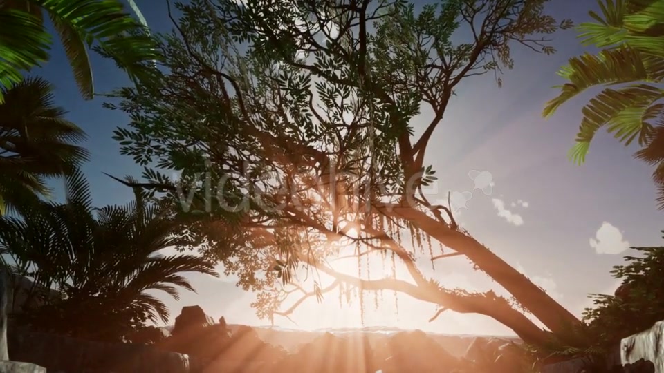 Sunset Beams Through Palm Trees - Download Videohive 21041363