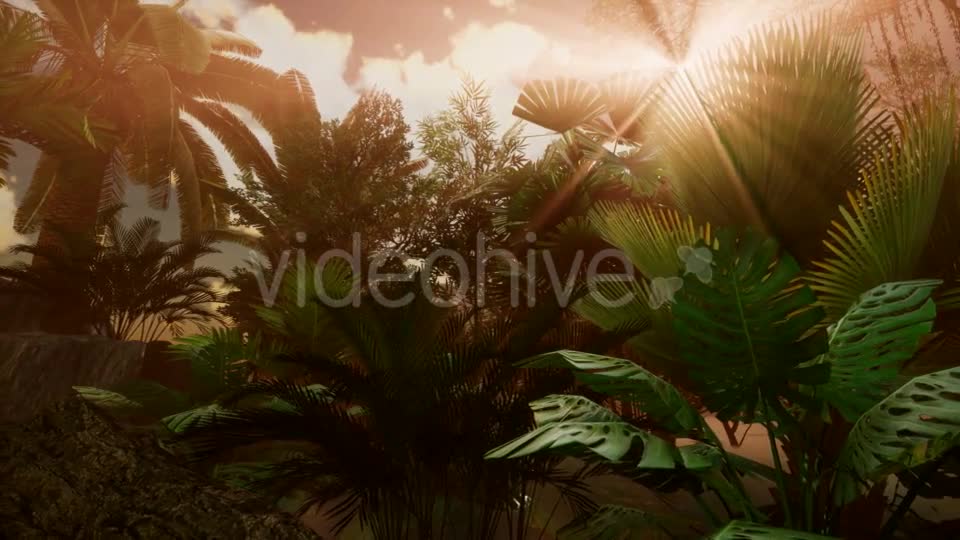 Sunset Beams Through Palm Trees - Download Videohive 21041369